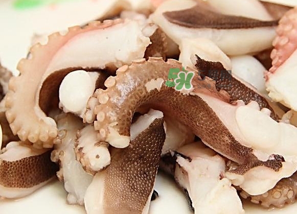 章魚有幾只腳？章魚有幾個爪子