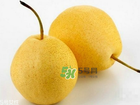 貢梨可以做冰糖雪梨嗎？貢梨可以燉川貝嗎？