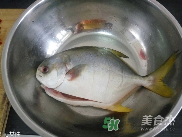 金鯧魚是海魚嗎？金鯧魚的刺多嗎？