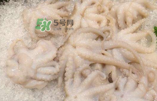 八爪魚(yú)的頭能吃嗎？八爪魚(yú)的頭里面是什么