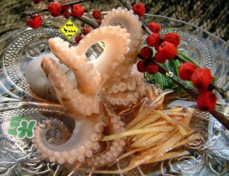 章魚有幾只腳？章魚有幾個爪子