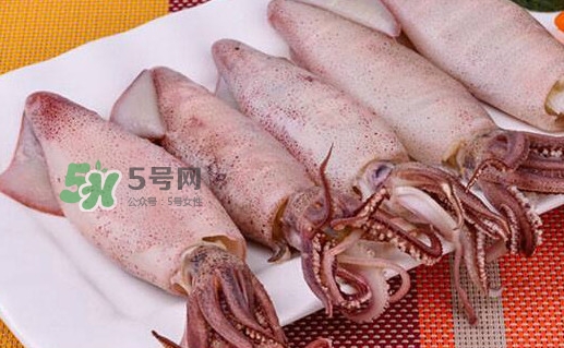 筆管魚怎么做好吃？筆管魚有什么營養(yǎng)