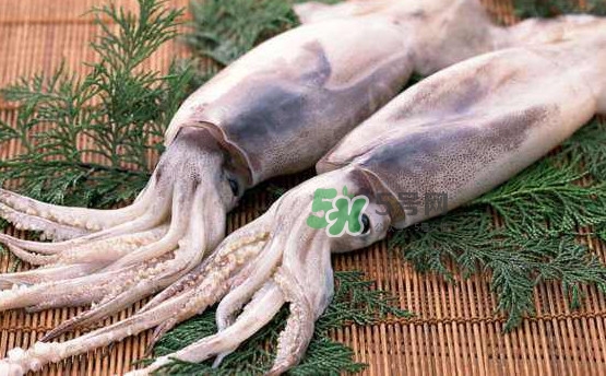 魷魚(yú)和雞蛋可以同時(shí)食用？魷魚(yú)不能和什么一起吃