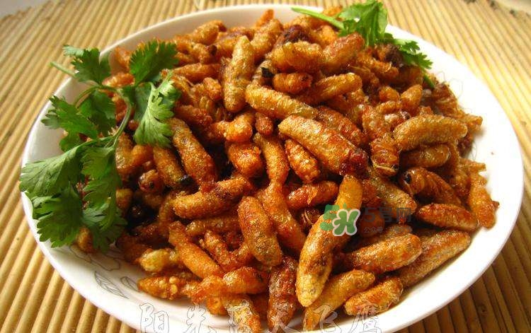 蜂蛹可以生吃嗎？蜂蛹的營(yíng)養(yǎng)價(jià)值