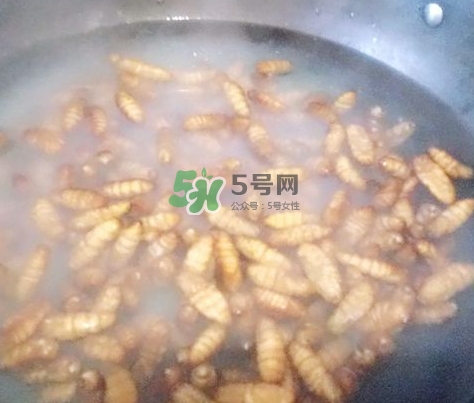 蜂蛹怎么保存？蜂蛹怎么做好吃？
