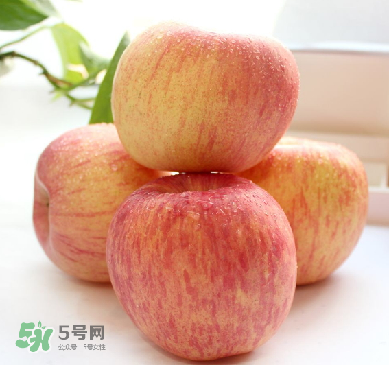 蘋果種類有哪些？蘋果種類哪種最好