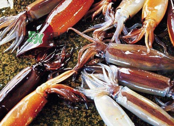 魷魚是堿性食物嗎？魷魚是酸性還是堿性？