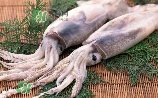 魷魚是海魚嗎？魷魚怎么炒好吃
