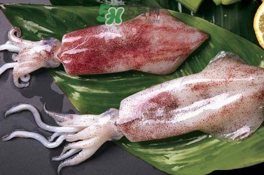 新鮮魷魚怎么處理？魷魚怎么清洗？