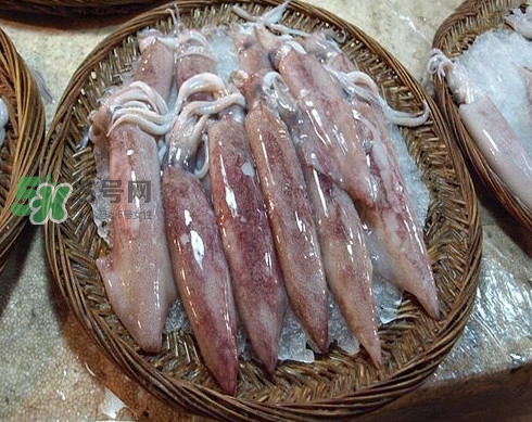 新鮮魷魚怎么保存？魷魚可以冷凍嗎