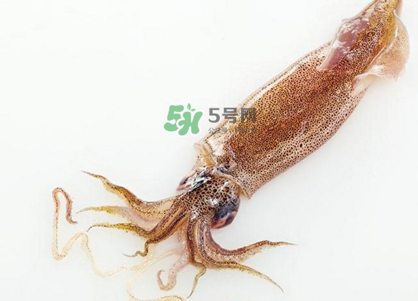 魷魚要焯水嗎？魷魚怎樣焯水