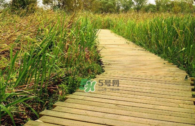 心碎綜合癥是抑郁癥嗎？心碎綜合癥怎么治療
