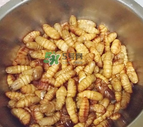 蜂蛹怎么保存？蜂蛹怎么做好吃？
