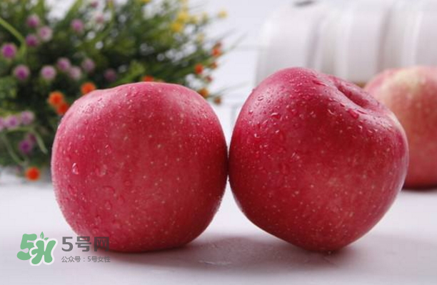 蘋果是什么季節(jié)的水果？蘋果什么時(shí)候吃最好