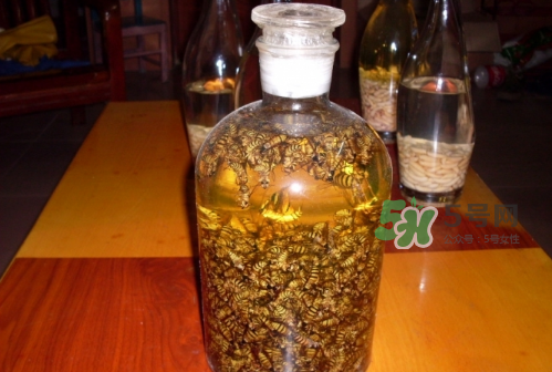 蜂蛹和枸杞能一起泡酒嗎？蜂蛹和枸杞泡酒的功效