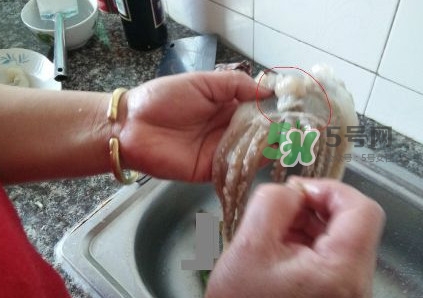 魷魚是堿性食物嗎？魷魚是酸性還是堿性？