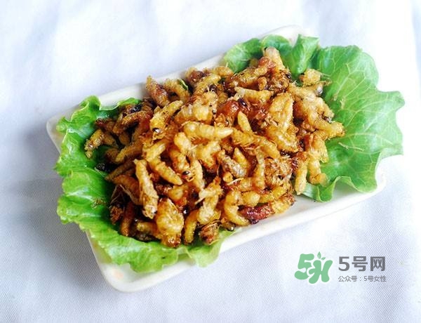 蜂蛹怎么保存？蜂蛹怎么做好吃？