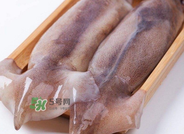 新鮮魷魚怎么保存？魷魚可以冷凍嗎
