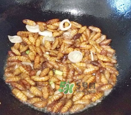 蜂蛹怎么保存？蜂蛹怎么做好吃？
