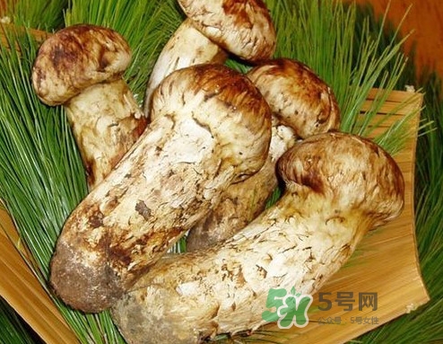 新鮮松茸怎么清洗？新鮮松茸怎么處理