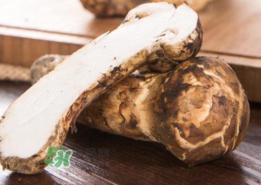 新鮮松茸怎么挑選？干松茸如何挑選