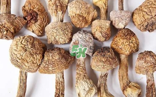 干松茸要泡多久？干松茸用冷水泡還是溫水泡好