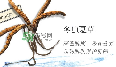 菌菇水是哪個(gè)國家的？悅木之源菌菇水是日本的嗎
