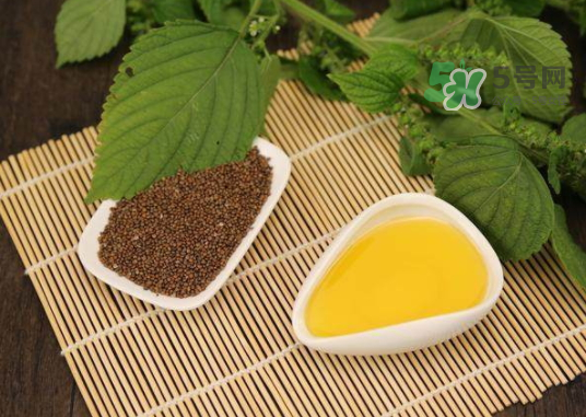 紫蘇水可以天天用嗎？紫蘇水的功效與作用