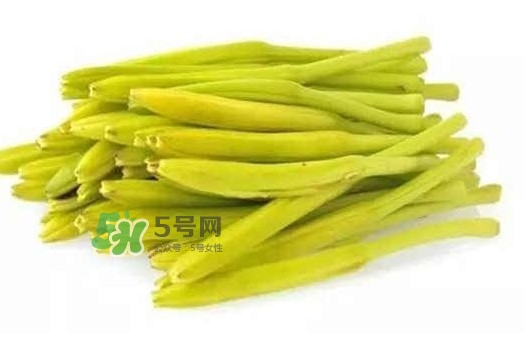 黃花菜是忘憂草嗎？黃花菜是不是金針菜