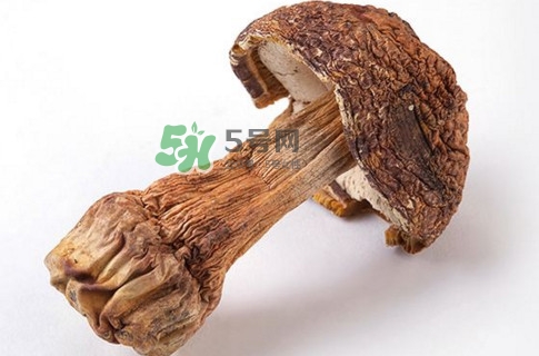 產(chǎn)婦能吃松茸嗎？哺乳期可以吃松茸嗎