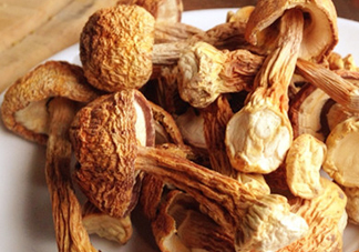 干松茸怎么清洗？干松茸如何辨別真?zhèn)?><p><strong>干松茸怎么清洗？干松茸如何辨別真?zhèn)?/strong></p></a></li> <li><a href=
