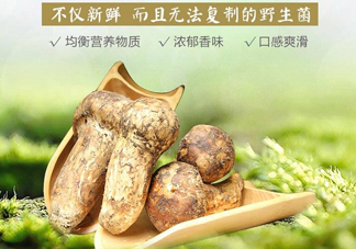 新鮮松茸怎么挑選？干松茸如何挑選