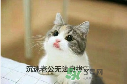南方老公和東北老公哪個(gè)好？南方老公和東北老公的區(qū)別