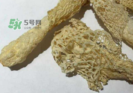 干竹蓀怎么處理？干竹蓀怎么清洗