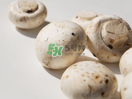 白蘑菇是什么種類？白蘑菇怎么洗才洗得干凈