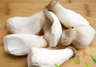 杏鮑菇是發(fā)物嗎？杏鮑菇怎么切好看