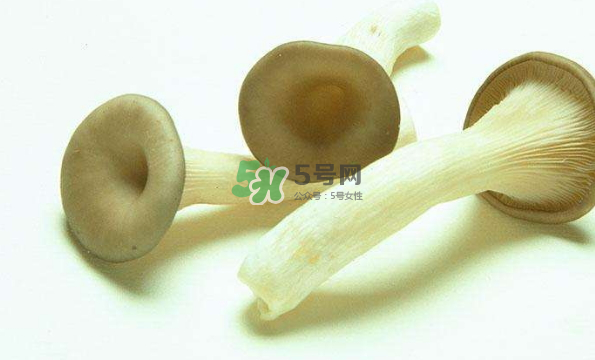 蘑菇不能和茄子一起吃嗎？蘑菇不能和什么一起吃？