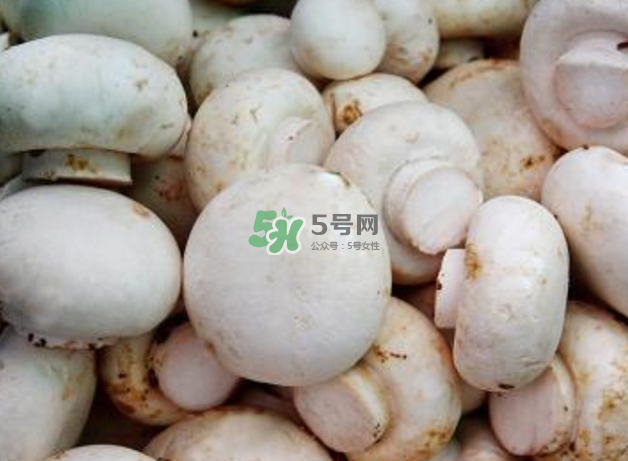 蘑菇變黑了還能吃嗎？蘑菇怎么保存？
