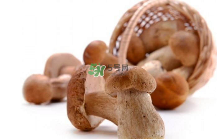 蘑菇能放冰箱嗎？蘑菇能放冰箱多長時(shí)間？