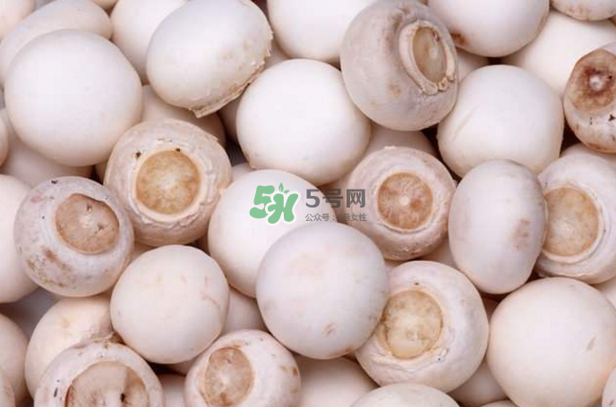 蘑菇能放冰箱嗎？蘑菇能放冰箱多長時(shí)間？