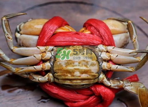 黃油蟹什么季節(jié)吃最好？黃油蟹產(chǎn)地