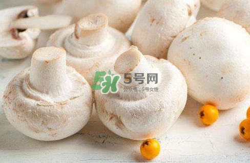 新鮮白蘑菇怎么做好吃？白蘑菇有什么好處