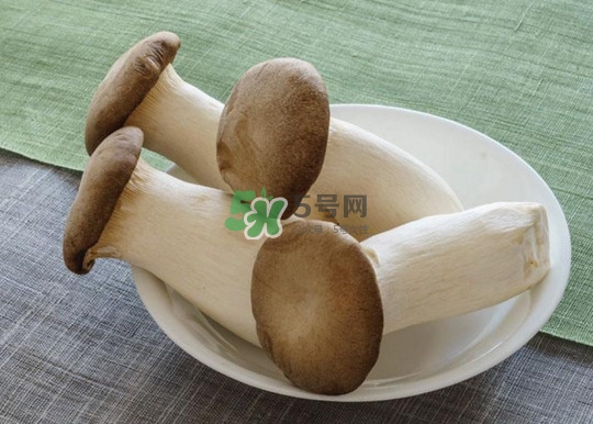 杏鮑菇怎么清洗？杏鮑菇怎么保存