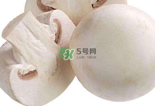 新鮮白蘑菇怎么做好吃？白蘑菇有什么好處