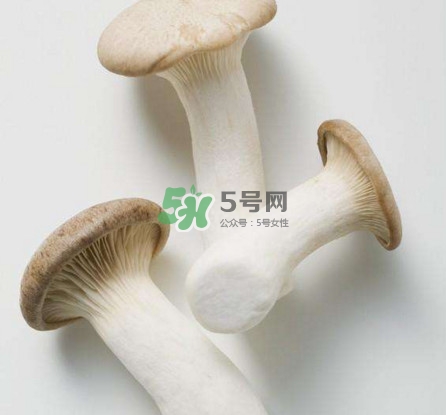 杏鮑菇用水焯嗎？杏鮑菇怎么做好吃