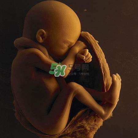 臍帶繞頸是什么意思？臍帶繞頸兩周怎么糾正？