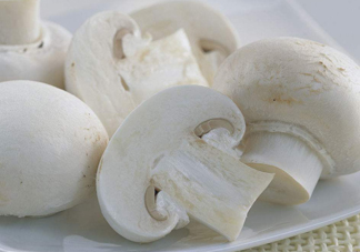 白蘑菇是什么蘑菇？白蘑菇有毒嗎