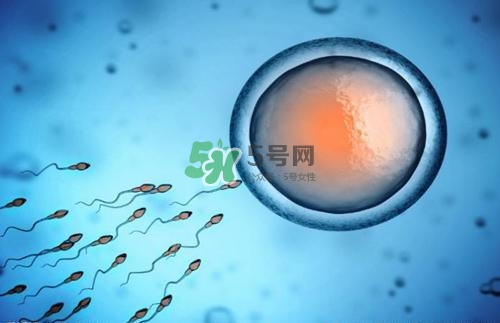 精子在女性體內(nèi)可以存活多久？男性的精子會枯竭嗎？