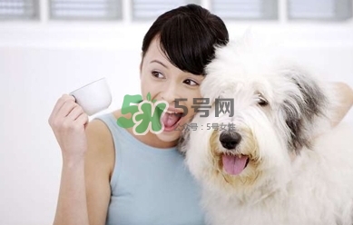 孕婦能養(yǎng)狗嗎？孕婦養(yǎng)狗注意事項