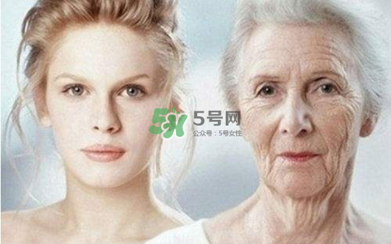 抗氧化是抗衰老嗎？抗氧化是不是就等于抗衰老？